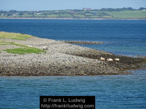 Strandhill